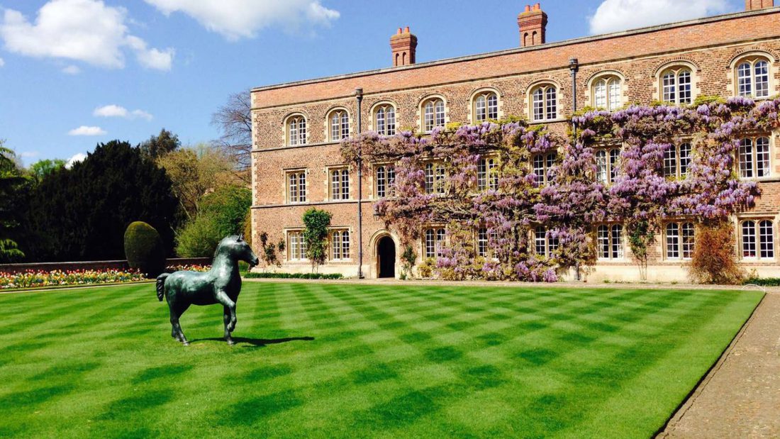 Wisteria in flower across First Court, Jesus College
